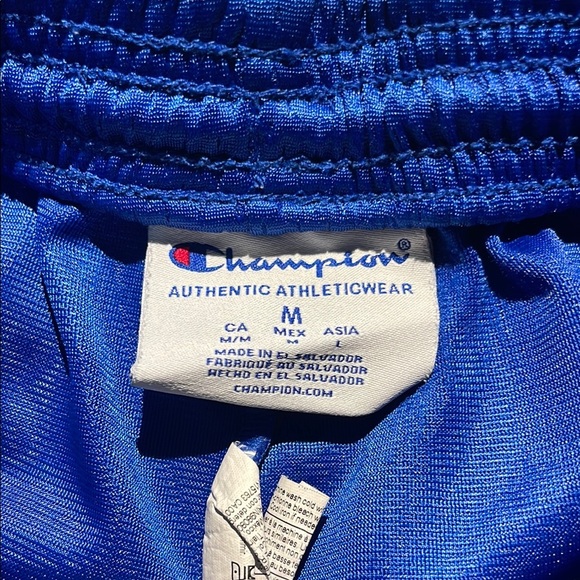 Champion Blue Striped Mesh Basketball Shorts With Pockets Size Large - Picture 2 of 3